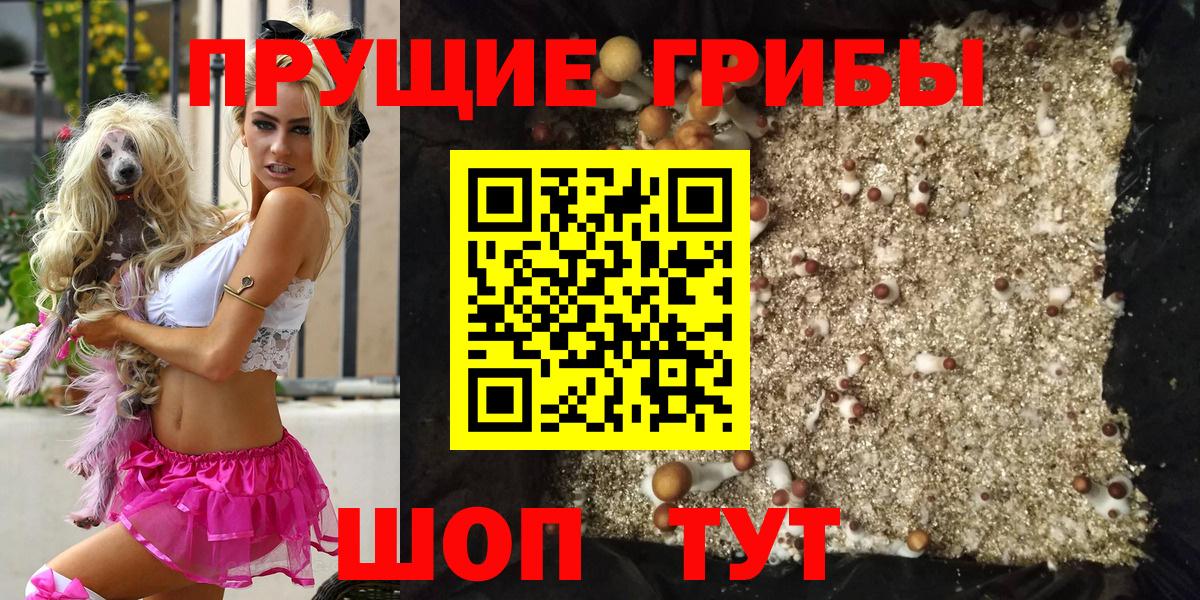 Галлюциногенные грибы мицелий  Вход с VPN  Галлюциногенные грибы мухоморы  Самара 